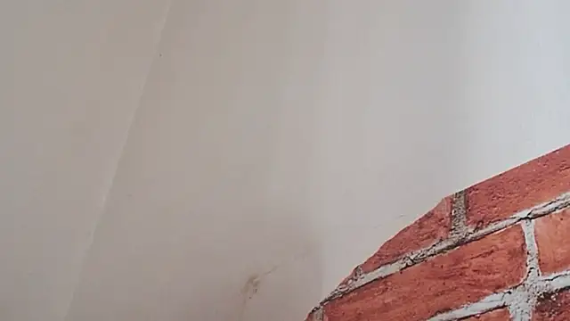 Sueliton2 online show from 03/28/26, 05:36