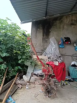 sena baby online show from 07/07/26, 11:30