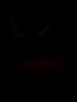 B S0051 online show from 04/10/26, 08:16