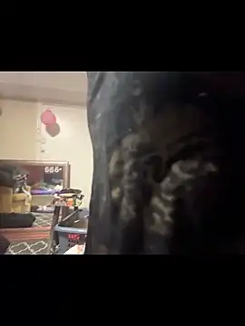 mango-kitty online show from 05/13/26, 02:13