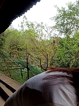 meg 06 online show from 03/27/26, 12:19