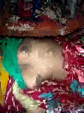 deshi girl 2007 online show from 04/16/26, 08:37