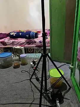 tukangcoli31 online show from 04/13/26, 12:03