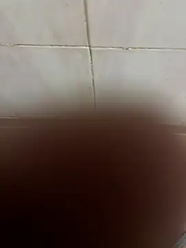 Snapshot of SingleBoy66666 chatting on 04/06/26, 06:47 SingleBoy66666 online show from 04/06/26, 06:47