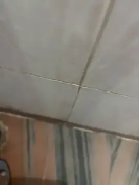 Snapshot of SingleBoy66666 chatting on 03/25/26, 07:46 SingleBoy66666 online show from 03/25/26, 07:46