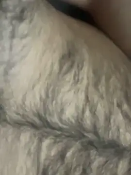 TurkishBoyzs online show from 04/11/26, 07:28