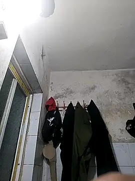 Tinh love online show from 03/31/26, 11:34