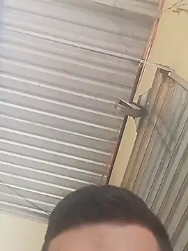 novinhotecnico online show from 03/25/26, 12:59