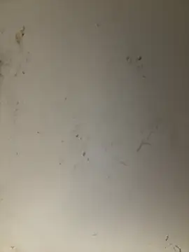 ANNIE 10- online show from 04/11/26, 05:27