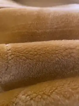 Snapshot of Ashwak_trans chatting on 04/04/26, 12:01 Ashwak trans online show from 04/04/26, 12:01