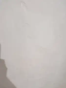 SLBL online show from 03/25/26, 09:30