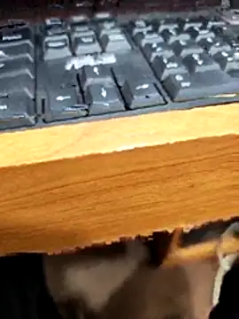 SLBL online show from 03/27/26, 05:49