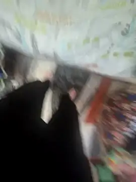 MassiveCongame online show from 03/25/26, 12:37