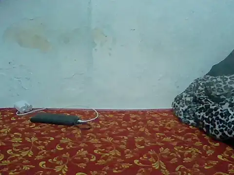 Rato250 online show from 04/08/26, 06:42