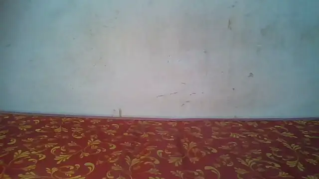 Rato250 online show from 05/10/26, 03:58