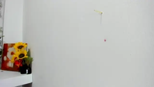 Alejandra and James  online show from 05/29/26, 11:49