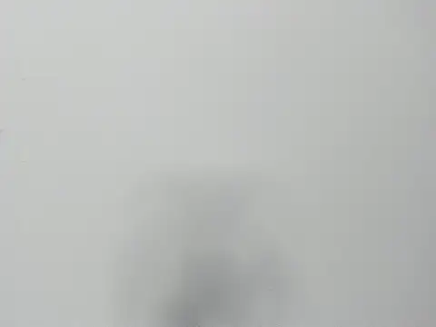 Alejandra and James  online show from 03/29/26, 11:23