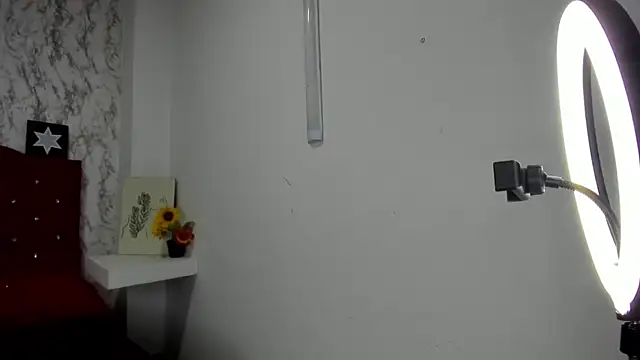 Alejandra and James  online show from 05/04/26, 11:24