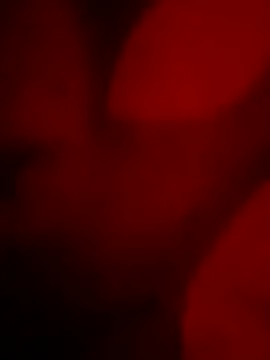 Snapshot of goldboy_0069 chatting on 04/11/26, 05:48 goldboy 0069 online show from 04/11/26, 05:48