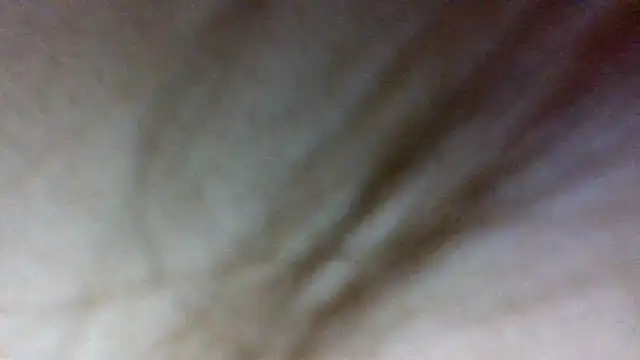 shag369 online show from 04/21/26, 06:14