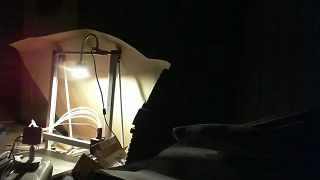 adorbsbiggestfan online show from 04/14/26, 11:26