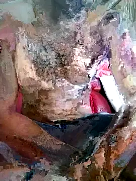 SteedyGee online show from 03/27/26, 09:32