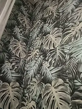 MileDi777 online show from 04/26/26, 07:11