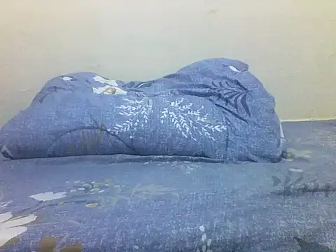 Snapshot of chauke2345 chatting on 04/13/26, 12:20 chauke2345 online show from 04/13/26, 12:20