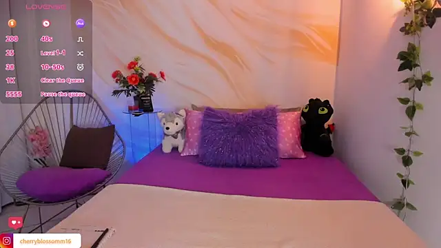 Snapshot of cherryblossomm01 chatting on 04/09/26, 02:13 cherryblossomm01 online show from 04/09/26, 02:13