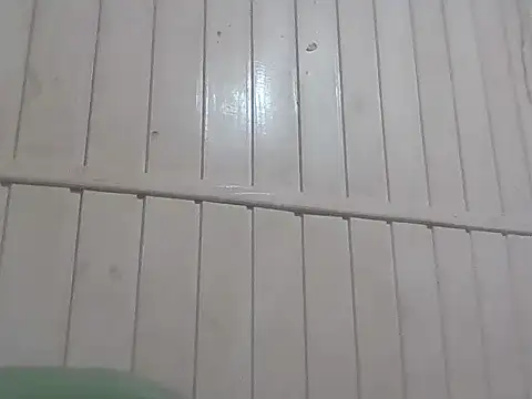 Docecastainha online show from 04/07/26, 10:33