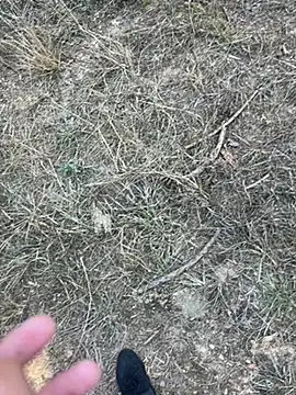 Snapshot of yingzi003 chatting on 04/07/26, 07:43 yingzi003 online show from 04/07/26, 07:43