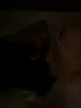 tanhualang001 online show from 04/15/26, 12:05