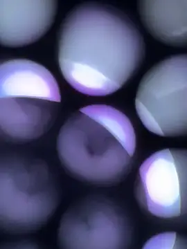 turkkkkgenccc online show from 06/03/26, 12:55