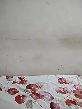 sexy couple liv online show from 07/25/26, 04:13