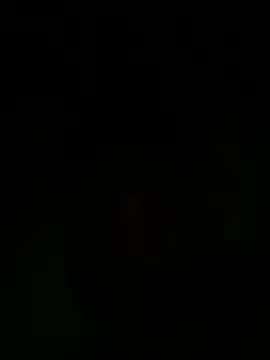Harap a online show from 06/13/26, 11:02
