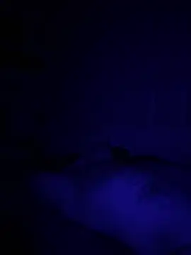 Diversified Reality online show from 04/09/26, 10:43