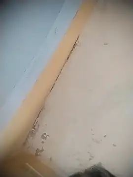 mille20 online show from 04/12/26, 08:12