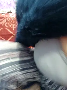 Rufiya khan0 online show from 04/06/26, 03:24