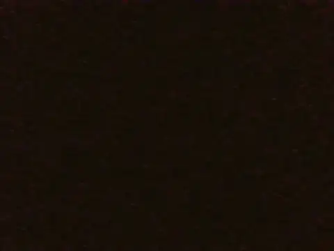 Siyabonga2026 online show from 07/10/26, 10:32