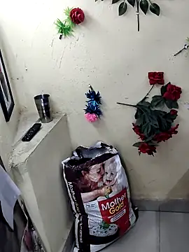 Snapshot of BlushingBunny_ chatting on 04/07/26, 05:37 BlushingBunny online show from 04/07/26, 05:37