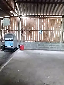 Adriana aria online show from 04/15/26, 05:57