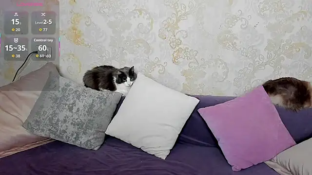 Simply Alex online show from 05/15/26, 01:03