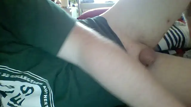Pallmees online show from 08/03/26, 08:44