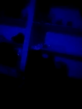 DKD-TELUGU36 online show from 04/04/26, 09:32