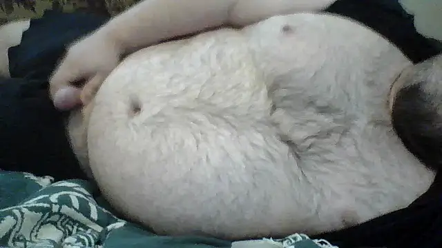 TBFL0204 online show from 07/09/26, 02:38