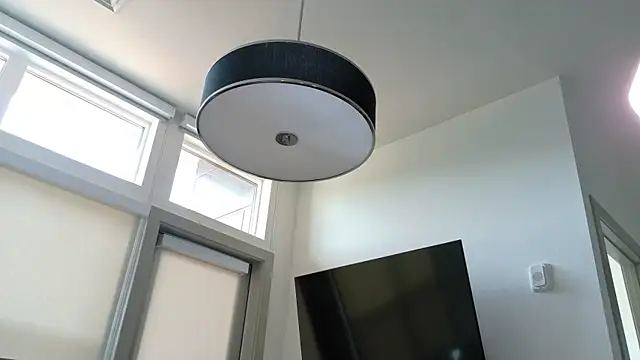 Seagll online show from 04/11/26, 12:18