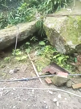 anhhuyen1 online show from 04/05/26, 12:06