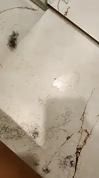 OBengaliBabuO online show from 02/19/25, 08:44