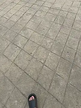 L7D8521 online show from 04/15/26, 09:26