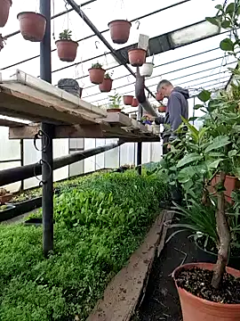 Frosting1957 online show from 04/12/26, 07:33